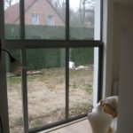 extension_villa_dilbeek_05